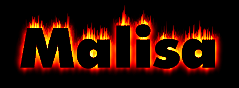 Fire1.gif (78917 bytes)